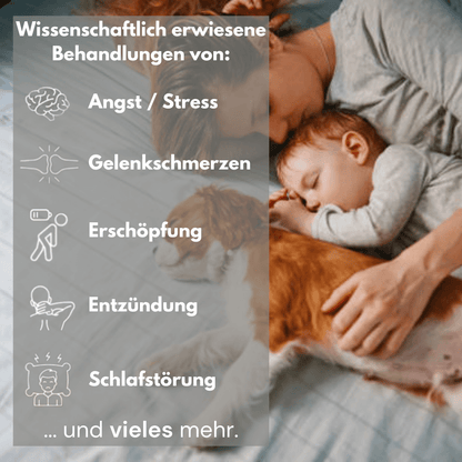 LUGTA 2.0 - Erdungslaken, erlebe natürliche Heilung der Erde im Schlaf!